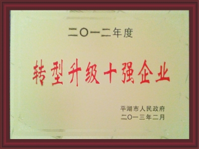 转型升级十强企业